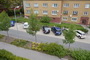 Zajíc (38)