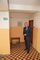 Zajíc (42)