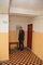 Zajíc (43)